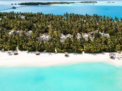 Veduta aerea di un'isola tropicale con palme, spiaggia di sabbia bianca e acqua turchese limpida.