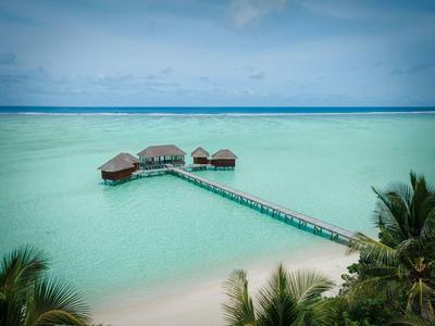 Überwasserbungalows an einem Steg in türkisfarbenem Wasser mit Palmen im Vordergrund.