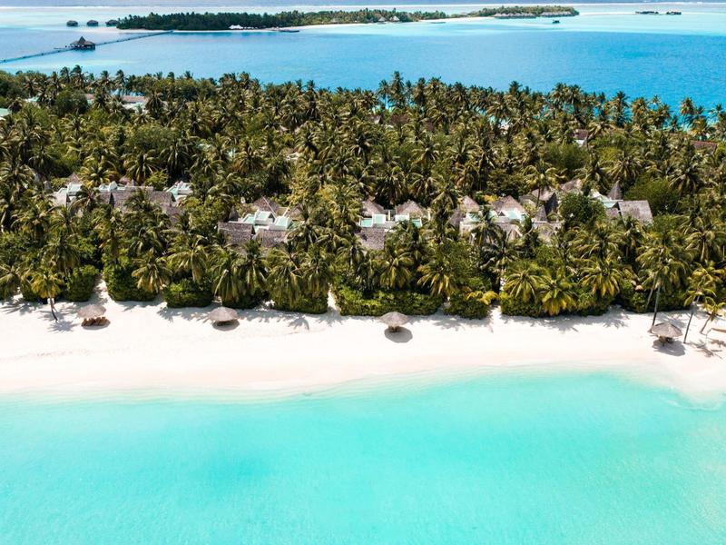 Luxuriöse Strandresidenzen umgeben von Palmen auf einer tropischen Insel mit klarem blauem Wasser.
