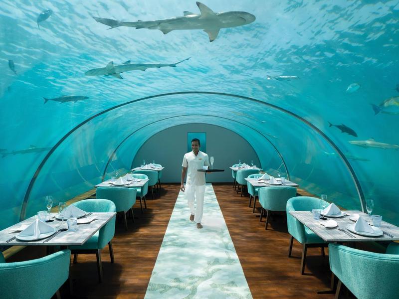 Unterwasser-Restaurant mit Glas-Tunnel und Haien darüber, elegantes Ambiente mit gedeckten Tischen.