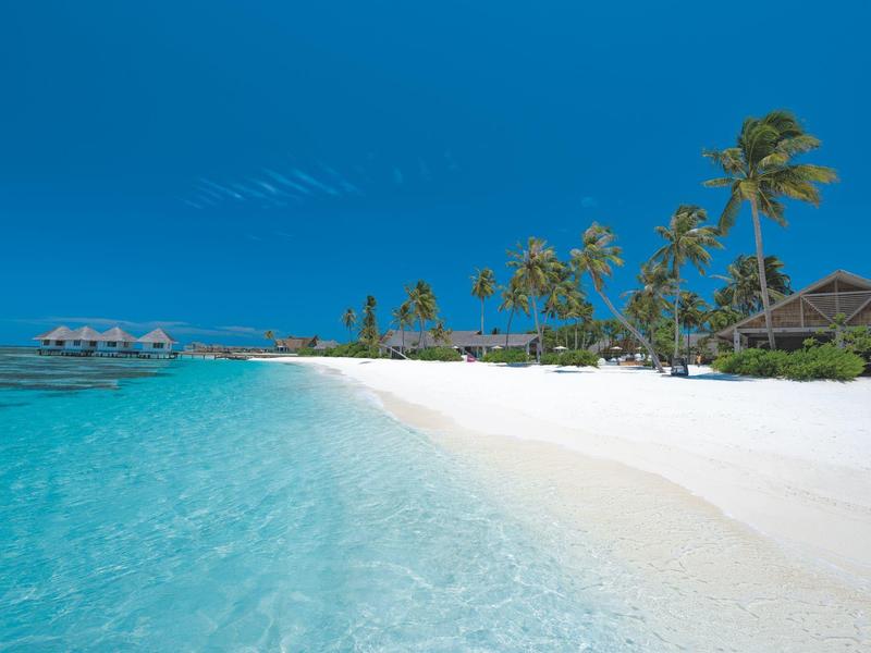 Playa de arena blanca con agua turquesa clara, palmeras y búngalos bajo un cielo azul.