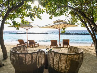 Dwa okrągłe wiklinowe fotele na plaży z widokiem na morze pod drzewami i parasolami.