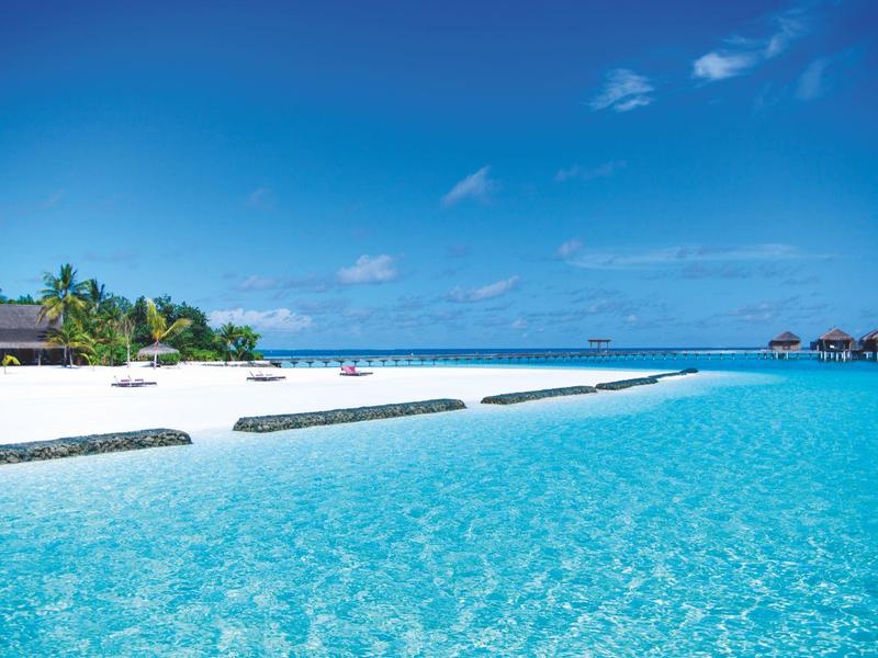 Crystal-clear turquoise ocean with a white sandy beach and tropical palm trees.