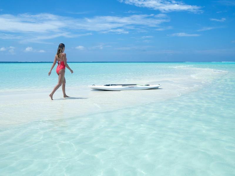 Tropical beach with palm trees and a thatched hut over clear blue water