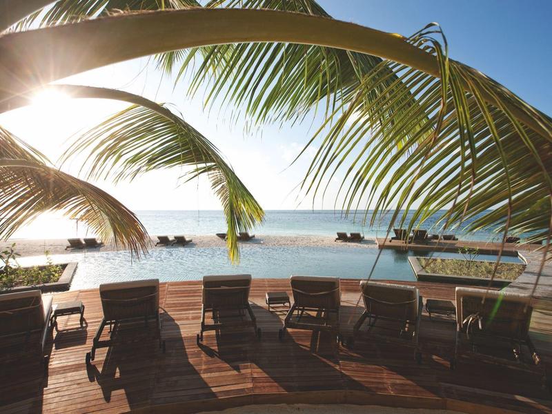 Wooden deck with lounge chairs under palm trees by calm sea and clear sky.