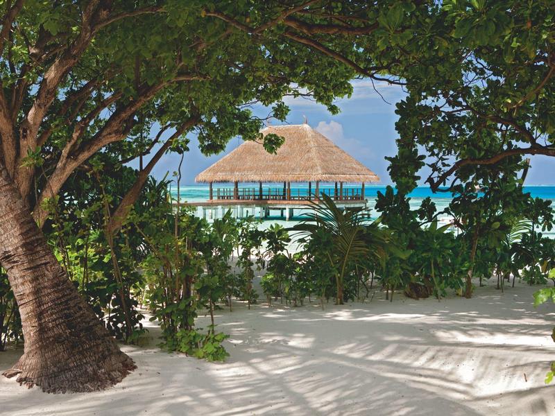 Tropical beach with palm trees and a thatched hut over clear blue water