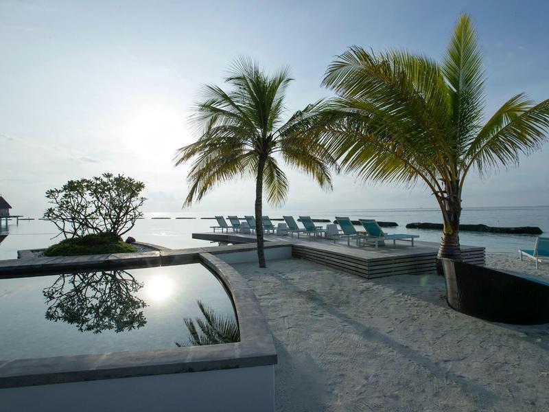 Beach resort with palm trees, lounge chairs, and a calm ocean view at sunset.