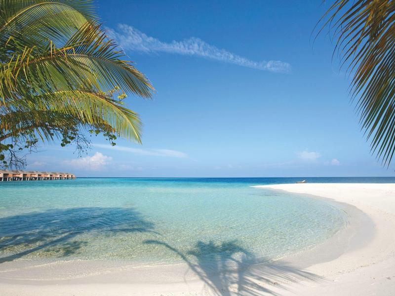 Tropical beach with clear water, white sand, and palm trees under a blue sky.