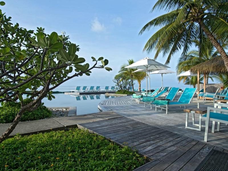 Beach resort with lounge chairs, palm trees, and ocean view under blue sky.
