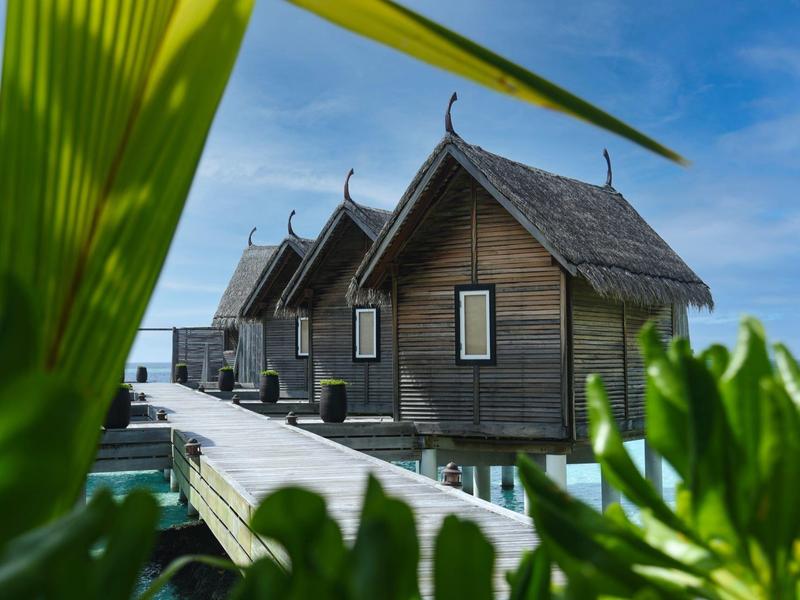 Wooden overwater bungalows with thatched roofs under a blue sky, framed by green leaves.