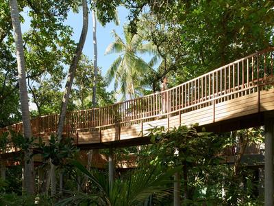 Drewniany chodnik z balustradą prowadzący przez gęsty zielony las pod niebieskim niebem.