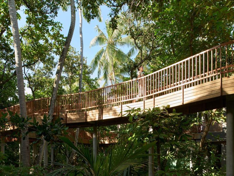 Drewniany chodnik z balustradą prowadzący przez gęsty zielony las pod niebieskim niebem.