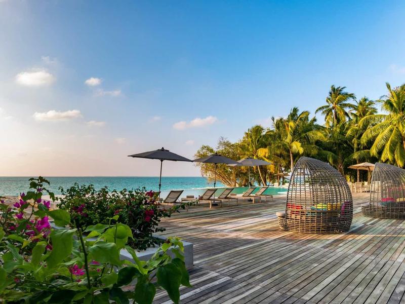 Sunny wooden terrace with exotic plants and ocean view at the resort