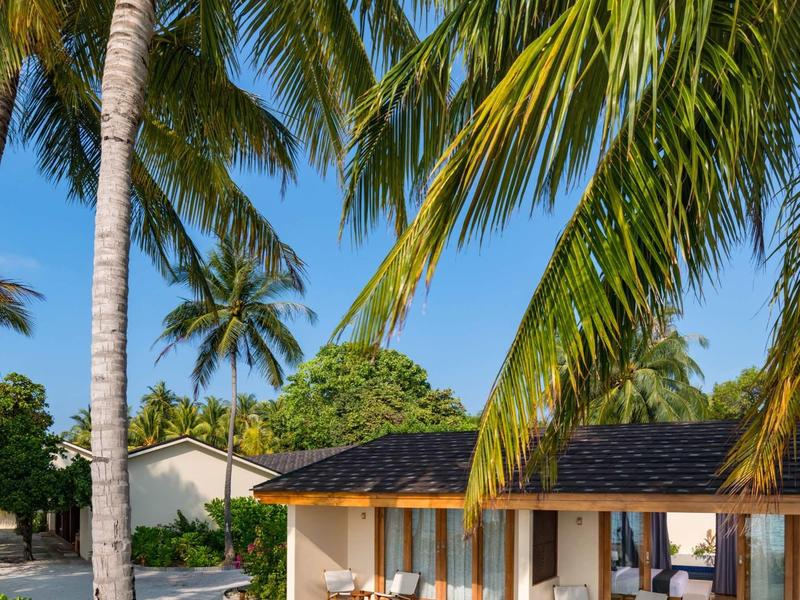 Beach bungalow surrounded by tall palm trees under a clear blue sky.