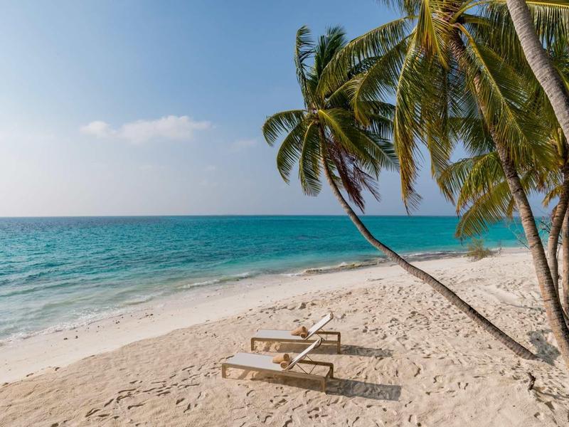 Beach with white loungers and palm trees by clear blue sea under blue sky.