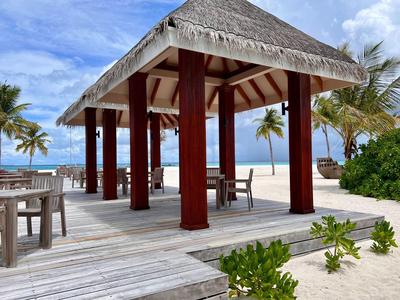 Pavillon de plage ouvert avec sol en bois et chaises sous un ciel bleu et des palmiers.