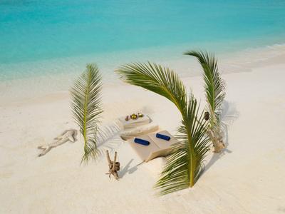 Deux transats avec serviettes et coussins sur une plage de sable, entourés de feuilles de palmier.