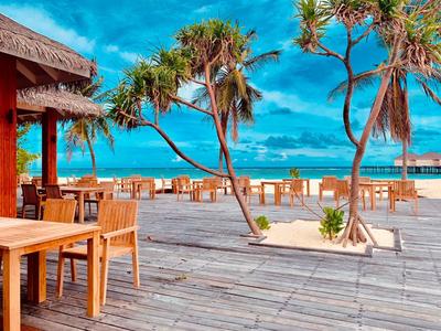 Pavillon en bois et terrasse avec chaises sur la plage sous un ciel bleu.