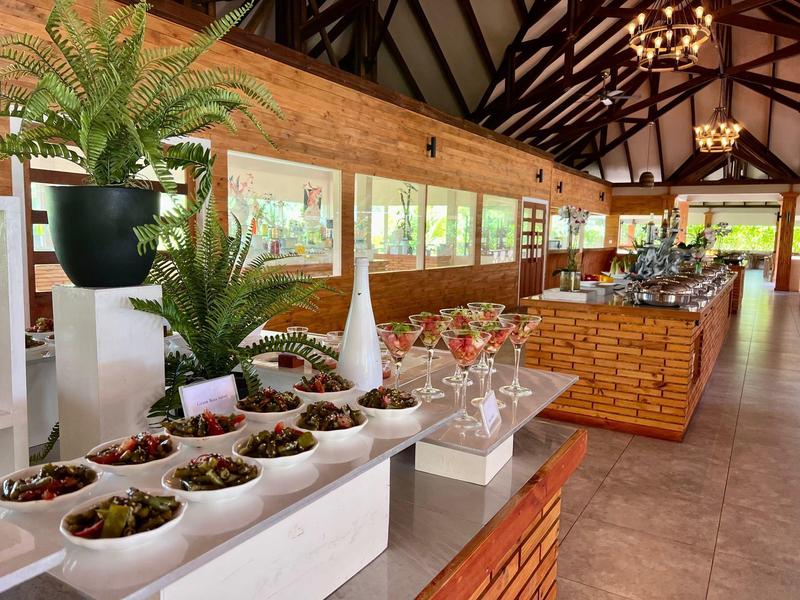 Intérieur d'hôtel avec buffet et plantes sur une longue table en bois.