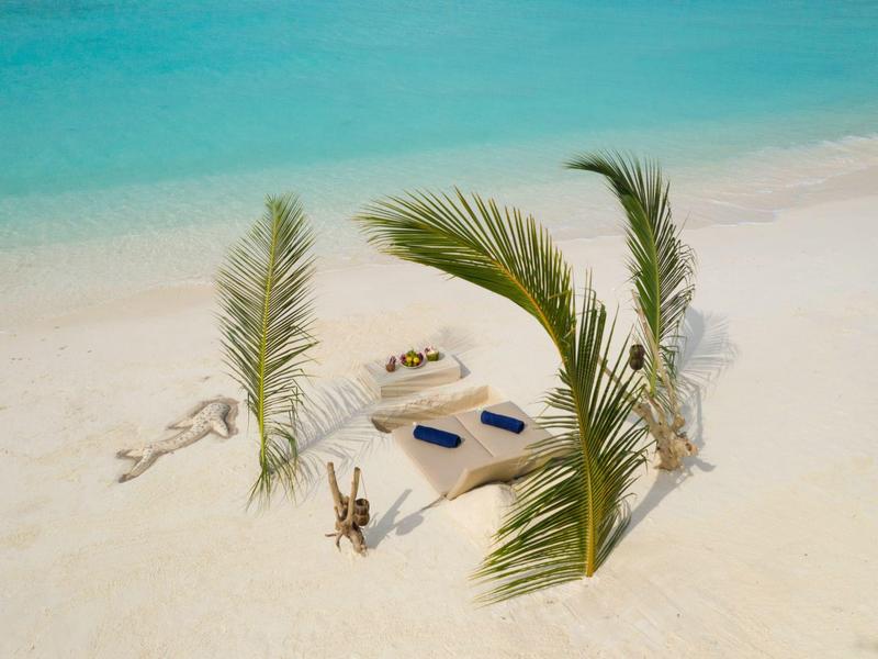 Deux transats avec serviettes et coussins sur une plage de sable, entourés de feuilles de palmier.