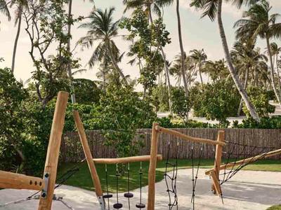 Outdoor playground with swings against a backdrop of tall palm trees and green grass.