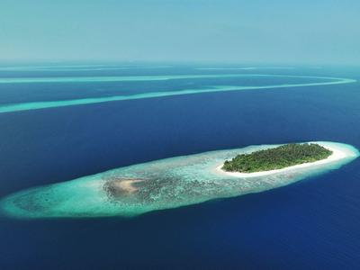 Aerial view of a small green island surrounded by turquoise water and light sandy banks.