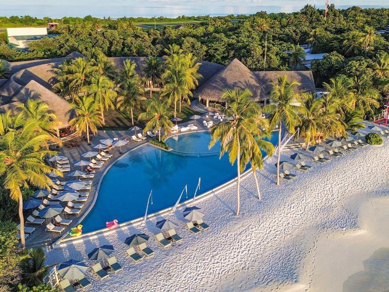 Tropický bazén s lehátky a palmami na pláži resortu.