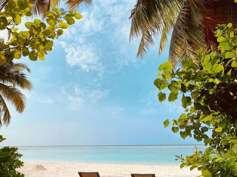 Due sedie a sdraio su una spiaggia di sabbia bianca con vista sul mare blu e palme.