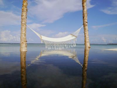 Amaca tra due palme sopra acqua calma sotto cielo azzurro