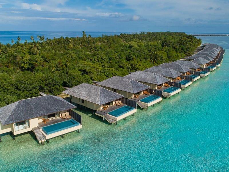 Reihe von Wasserbungalows mit privaten Pools am türkisfarbenen Meer vor bewaldeter Insel.
