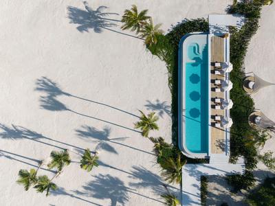 Bird's eye view of a rectangular pool beside tall palm trees on white sand.