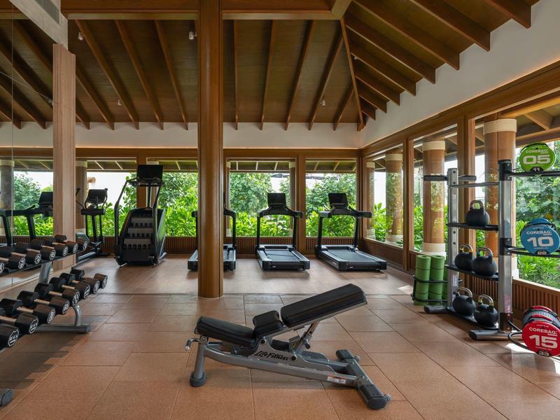 Gimnasio luminoso con pesas, cintas de correr y grandes ventanas con vista a la vegetación.