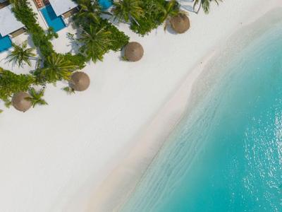Vier Strandbungalows mit Pools und Palmen am weißen Sandstrand neben klarem türkisfarbenem Wasser.