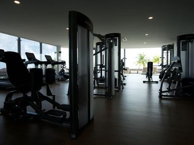 Dunkler Fitnessraum mit Trainingsgeräten und Sicht auf helle Fenster und Palme.