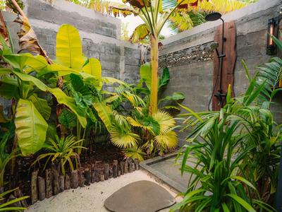 Small outdoor area with tropical plants and stone path, surrounded by concrete walls.