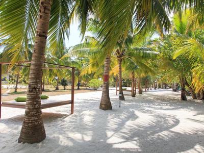 Sandy beach path with palm trees and hammocks under shady leaves