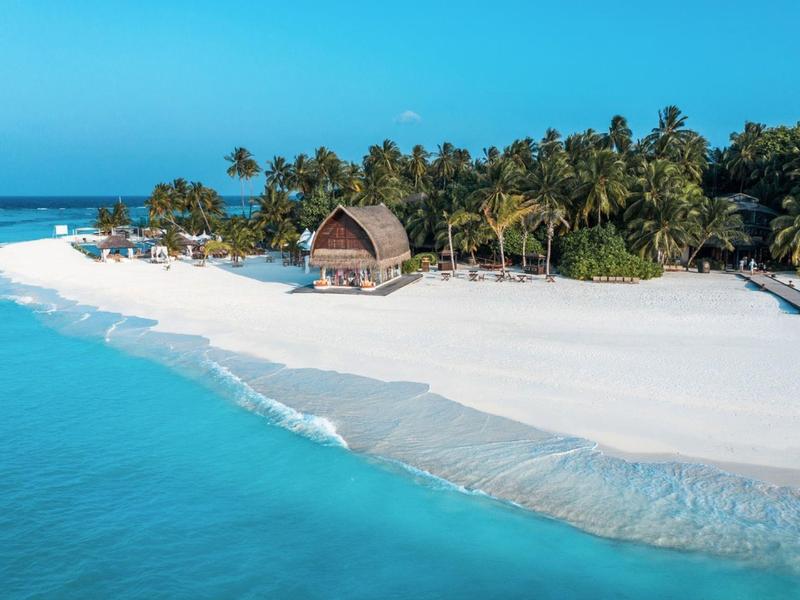 Tropisch eiland met wit zandstrand, palmbomen en een rieten hut bij turquoise water.