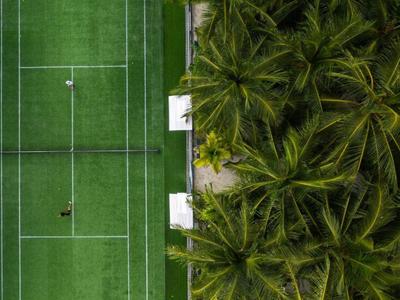 Vista aérea de una pista de tenis junto a densas palmeras en un resort tropical.