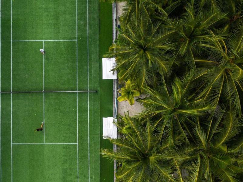 Vogelperspektive auf Tennisplatz neben dichtem, grünem Palmwald mit Schatten und Linien.