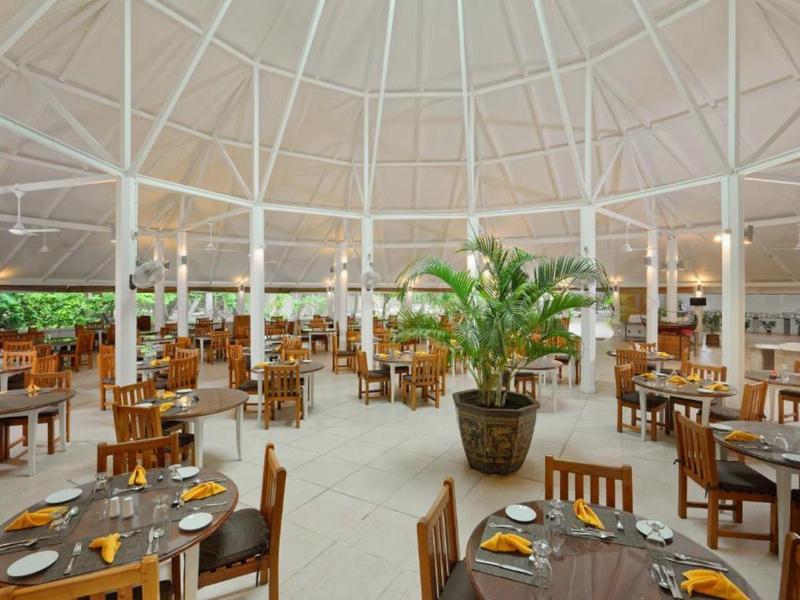 Světlá, vzdušná restaurace s bílými stěnami, dřevěnými židlemi a velkou rostlinou.