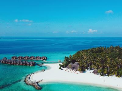 Tropische Insel mit weißen Sandstränden, Palmen und bunten Wasserbungalows im klaren blauen Meer.