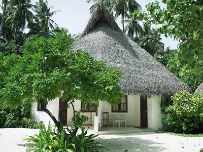 Tradiční chlupatý dům obklopený tropickou vegetací