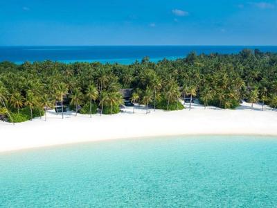 Tropical beach with clear blue water, white sand, and palm trees along the shore.