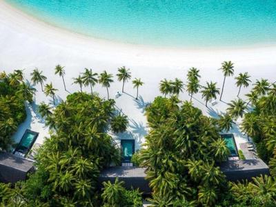 Luftaufnahme einer tropischen Küste mit Palmen, weißen Strand und türkisfarbenem Wasser.
