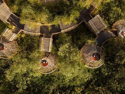 Widok z lotu ptaka na drewniane kładki otoczone gęstym lasem.