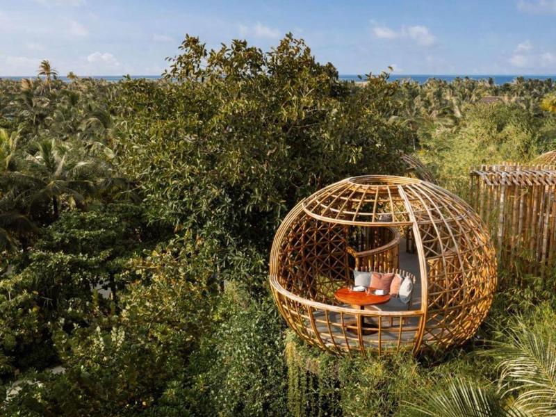 Otwarta, drewniana, okrągła platforma do wypoczynku wśród tropikalnych roślin i drzew.