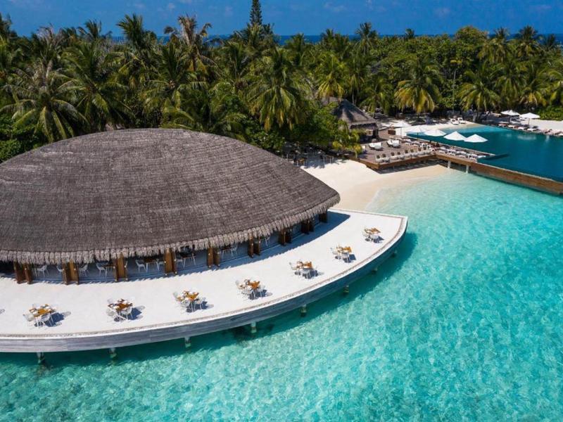 Restaurant rond au toit de chaume sur eau claire, entouré de palmiers et terrasse ensoleillée.