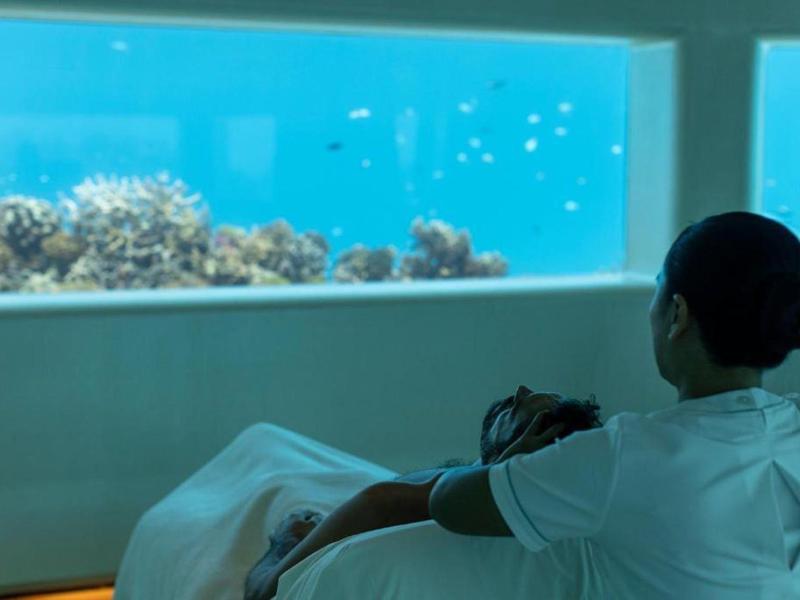 Personne se détend en regardant un grand aquarium dans une chambre d'hôtel