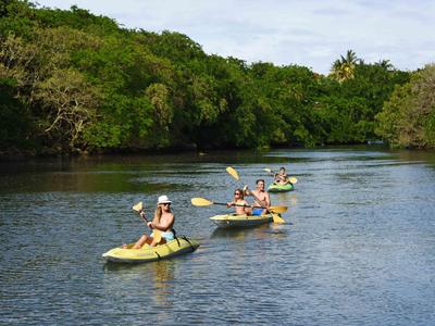 Quattro persone fanno kayak su un fiume circondato da una fitta foresta verde.