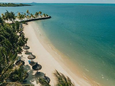 Playa tropical de arena con palmeras y sombrillas junto al mar azul y tranquilo.